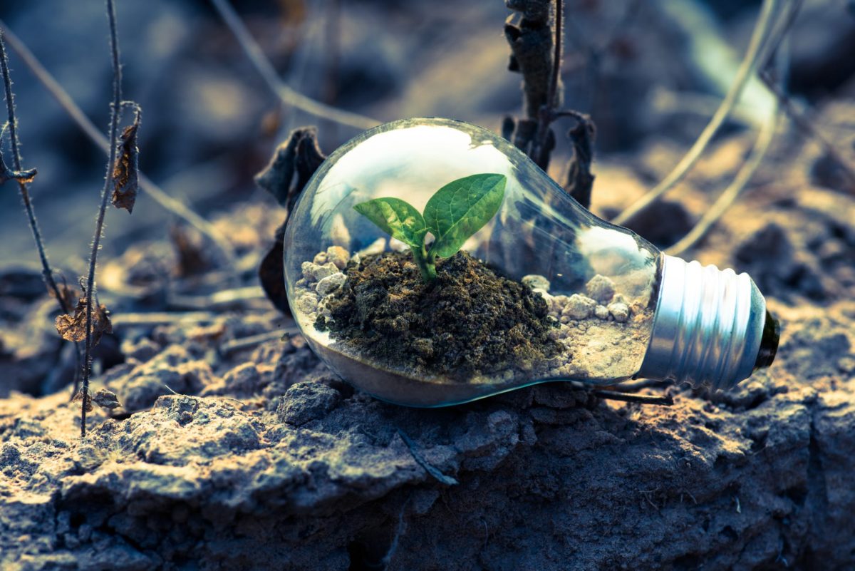 The 12 Crucial Leadership Traits Of A Growth Mindset