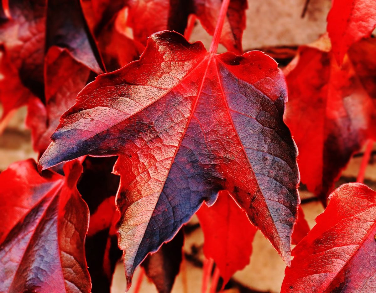Finding Patterns Can Prevent Chaos and Promote Change