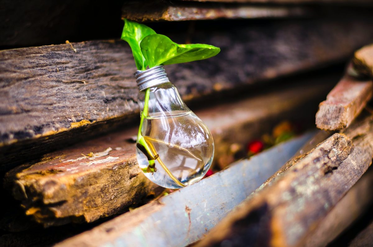 Top Ten Disruption and Change Management Speakers